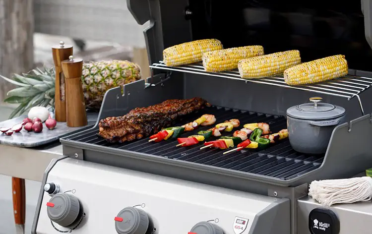 Best Electric Grills A Detailed Review, Electric Grills Outdoor
