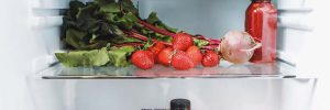 How to Maintain Your Fridge